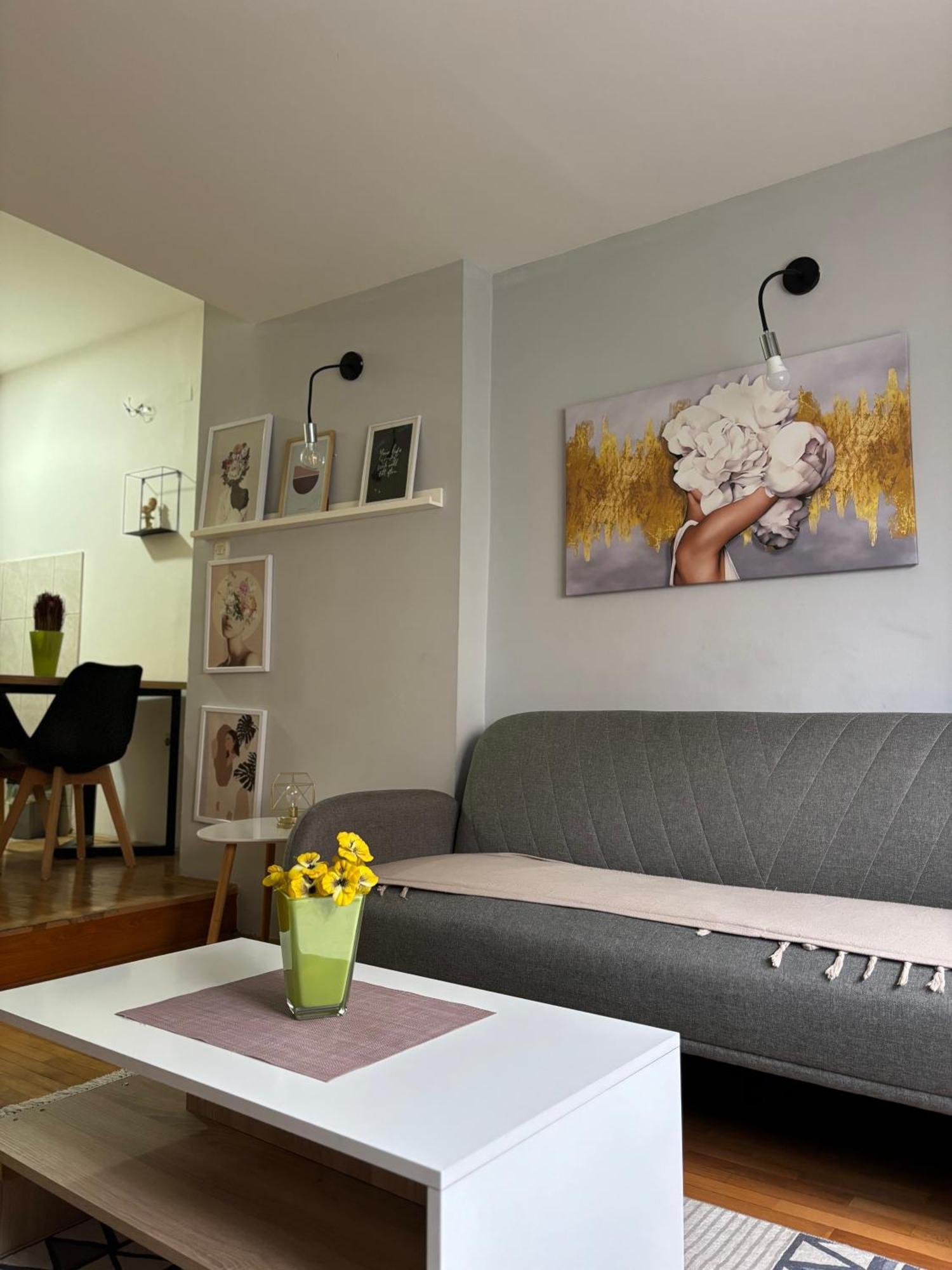 Mia'S Duplex Apartment Скопие Екстериор снимка